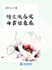 尘埃落定对应什么